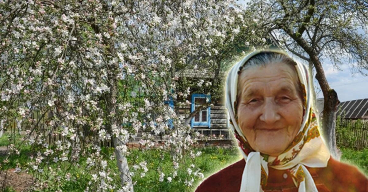 Вижу тетка