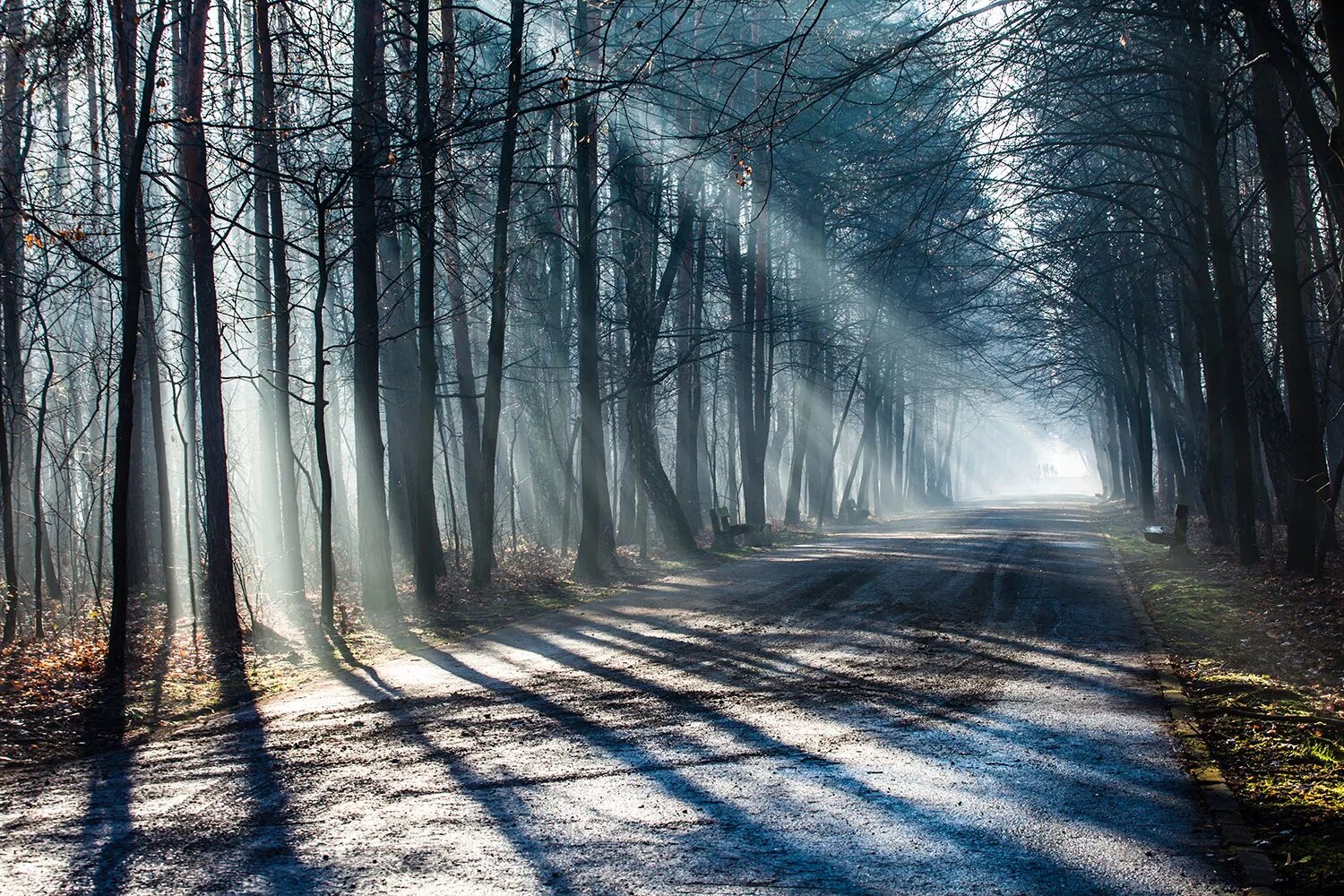 Strong fog