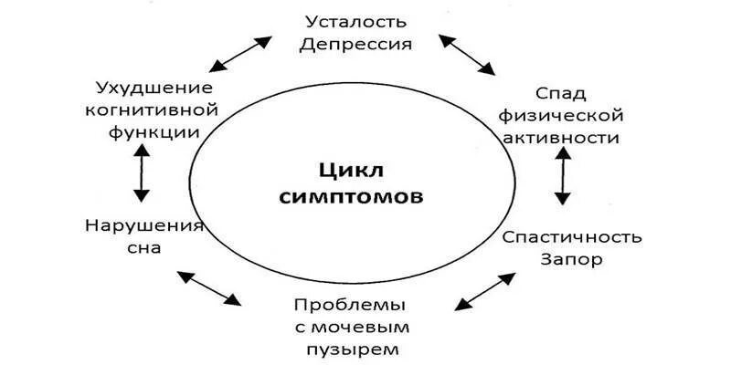 Что такое когнитивные функции. Когнитивные функции. основные когнитивные функции. когнитивные функции женщины. когнитивные функции человека.