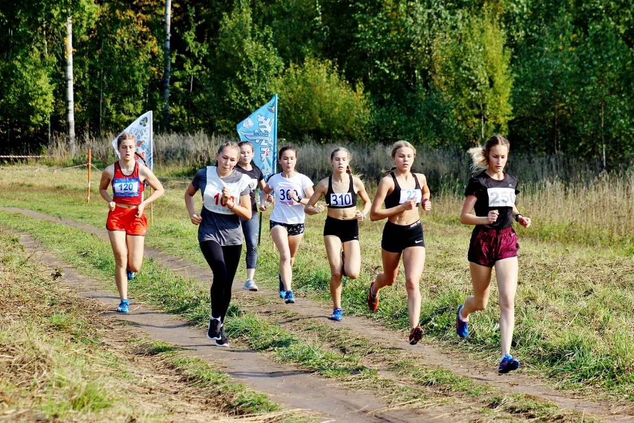 Августа 2019 г. Чемпионат по легкой атлетике и кроссу. суздаль 2019 чемпионат и первенство по кроссу. первенство республики марий эл по лыжным гонкам. лыжная база корта йошкар-ола.