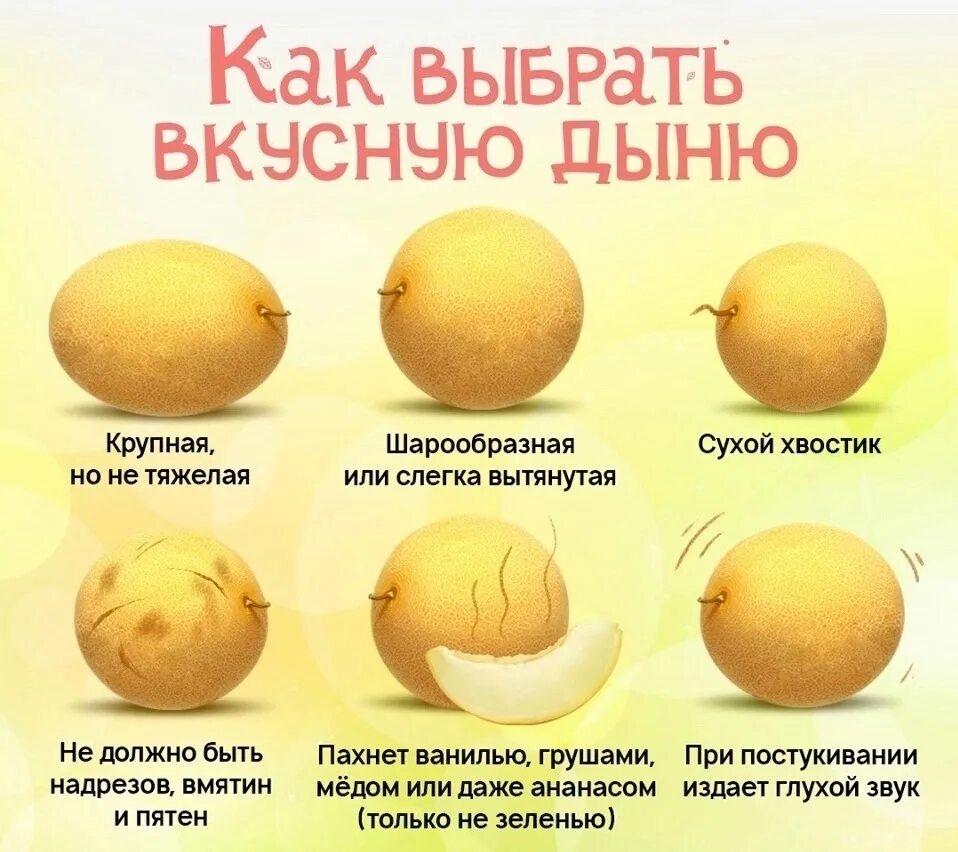 Как узнать дыню. Как выбрать дыню. как правильно выбрать дыню. как выбрать вкусную дыню. как выбрать сладкую дыню.