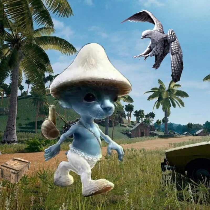 шайлушай ленд