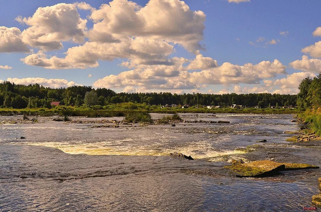 Реки березайка лето луг. Украинские луга , речки. Река в поле. Река луга толмачево. Река мещериха.