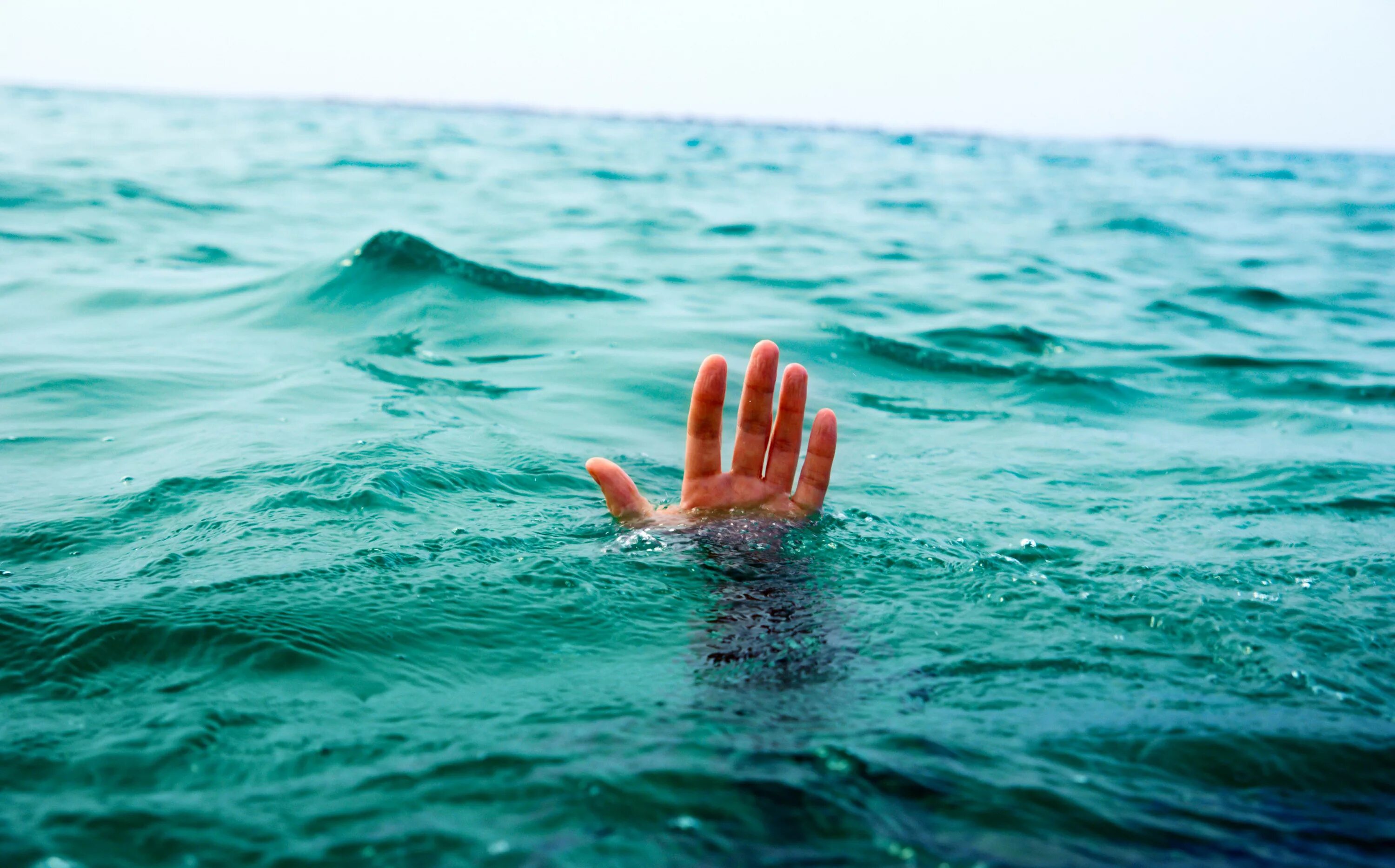 Help the ocean