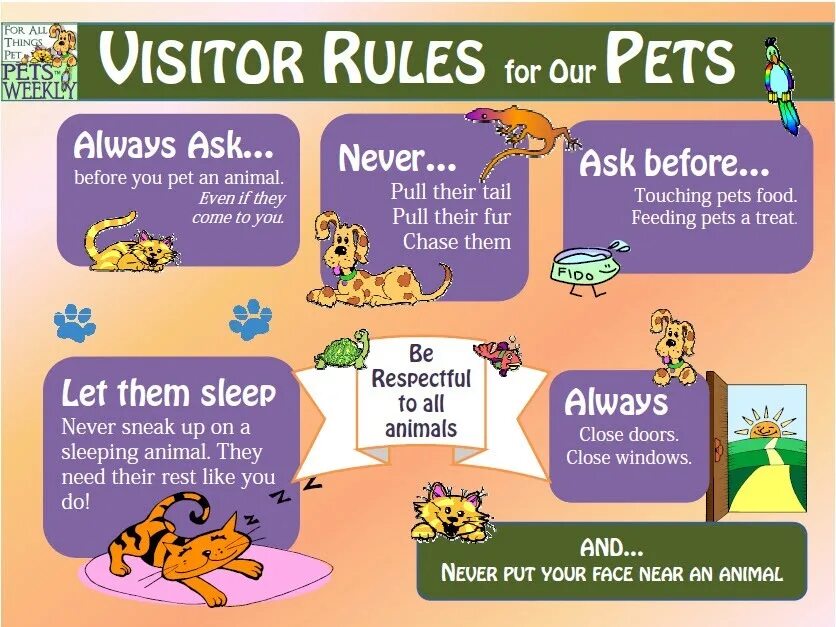 Pets упражнения. Animals правило. Pet animals for Kids. Pets Rules. After your pet