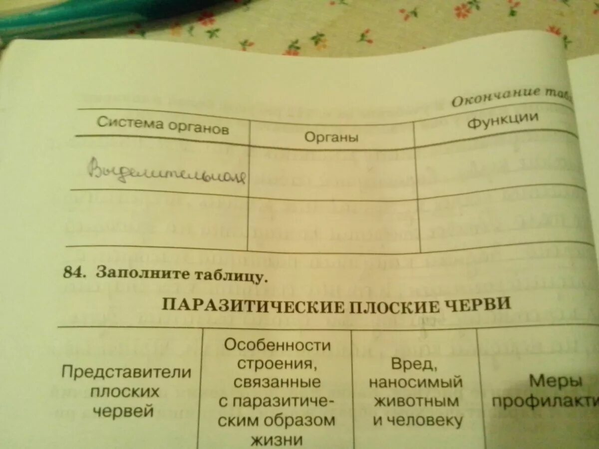 Заполните таблицу тип плоские черви Фото подборка СРАВНИТЕЛЬНАЯ ХАРАКТЕРИСТИКА ТИПОВ ПЛОСКИХ ЧЕРВЕЙ ТАБЛИЦА