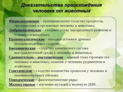 Доказательства сходства человека и животного