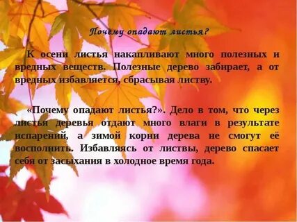 Листья опали как правильно