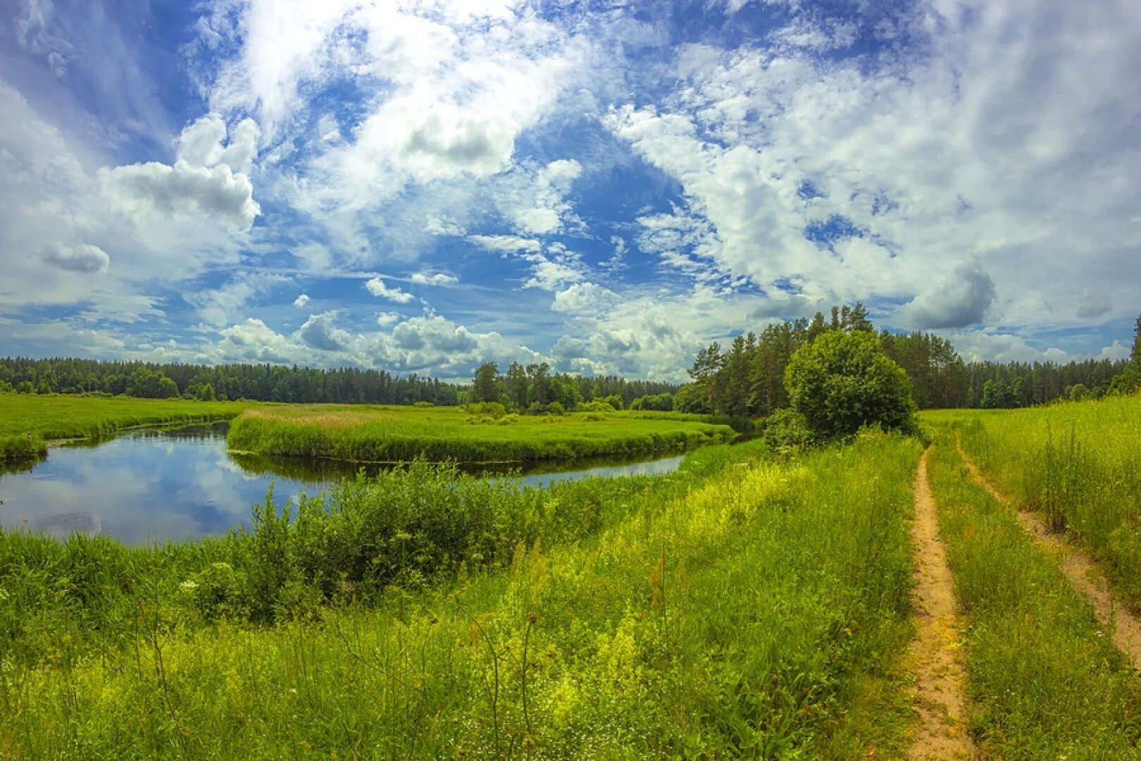 Пойменные луга беларуси. Река в поле. Река и небо. Летний пейзаж. Стихотворение вижу горы и долины.