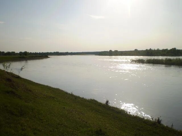 Погода кажа алтайский край. Село Соусканиха Алтайский край. Соусканиха Алтайский край Красногорский район. Река Бия Красногорский район. Верх кажа Красногорский район Алтайский край.