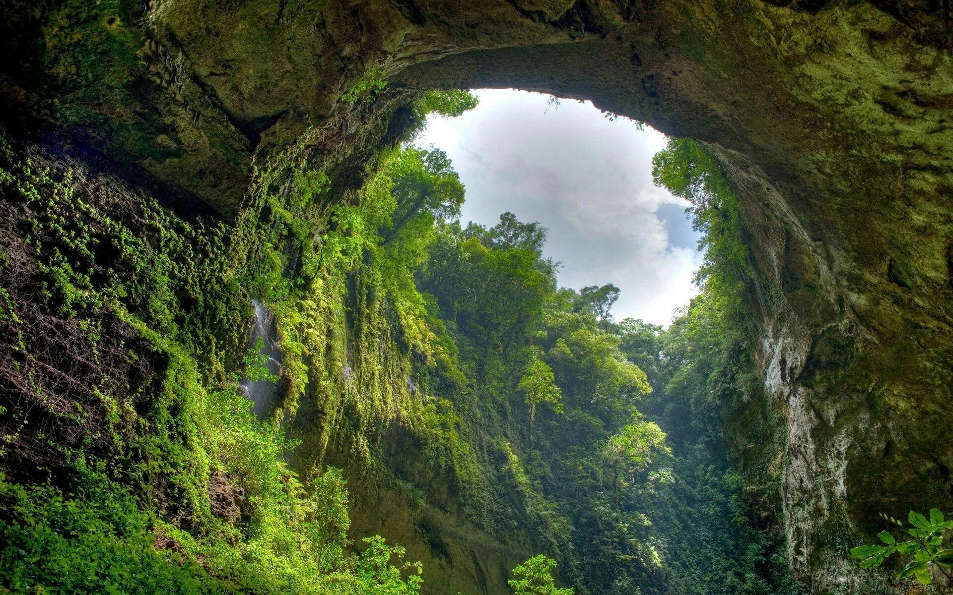 Big mother nature cave. Пещера Шондонг. Лес Эль Юнке, Пуэрто-Рико. Пещера Шондонг Вьетнам. Ущелье Борго Трансильвания.