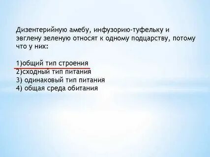 Эвглена зеленая и дизентерийная амеба