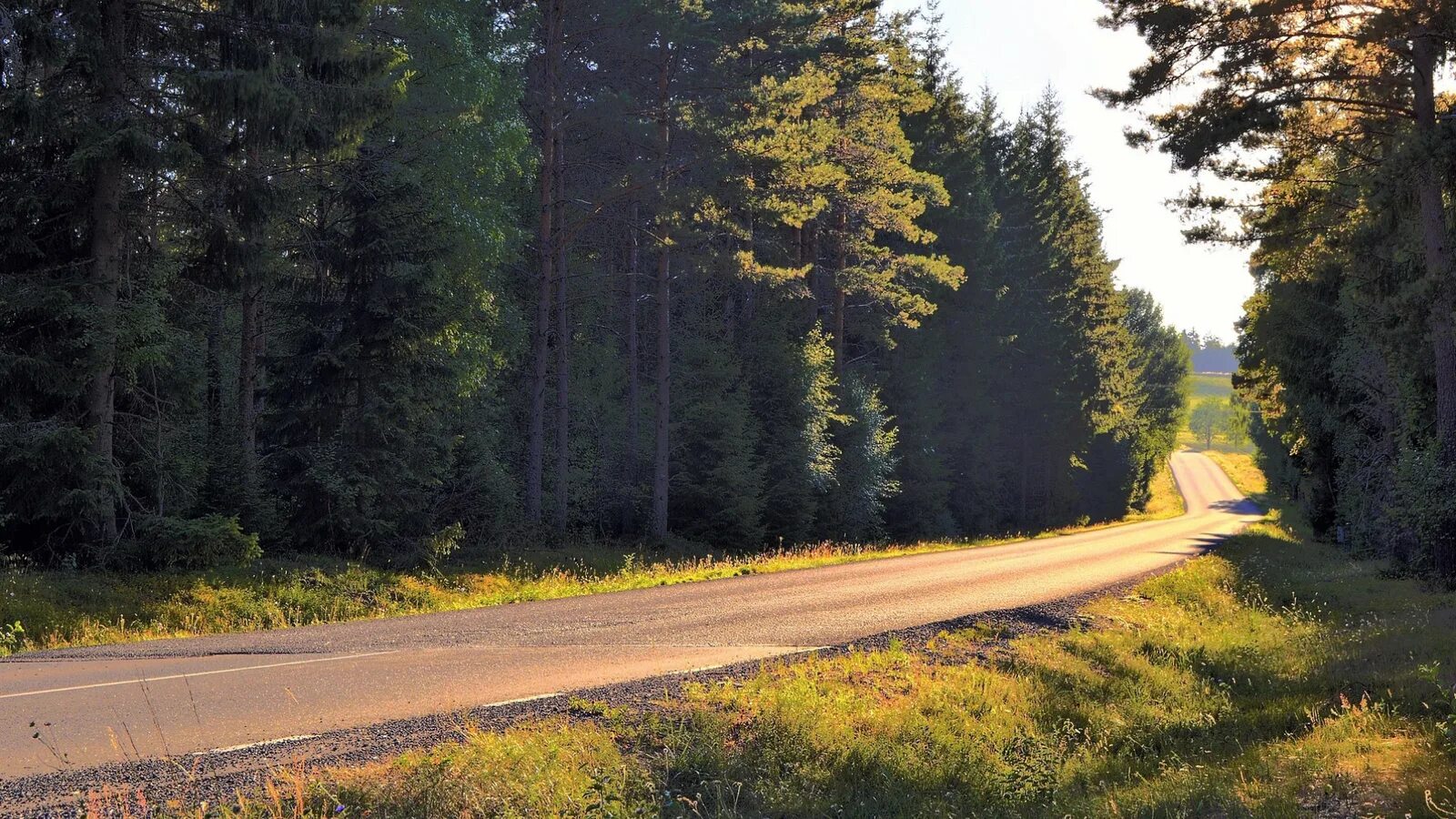 стоит возле трассы. дорога в гору. трасса. заснеженная дорога. стоит возле трассы.