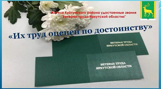 Как получить ветерана труда в республике коми. День ветерана труда.