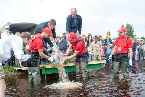 Погода в усть илыче