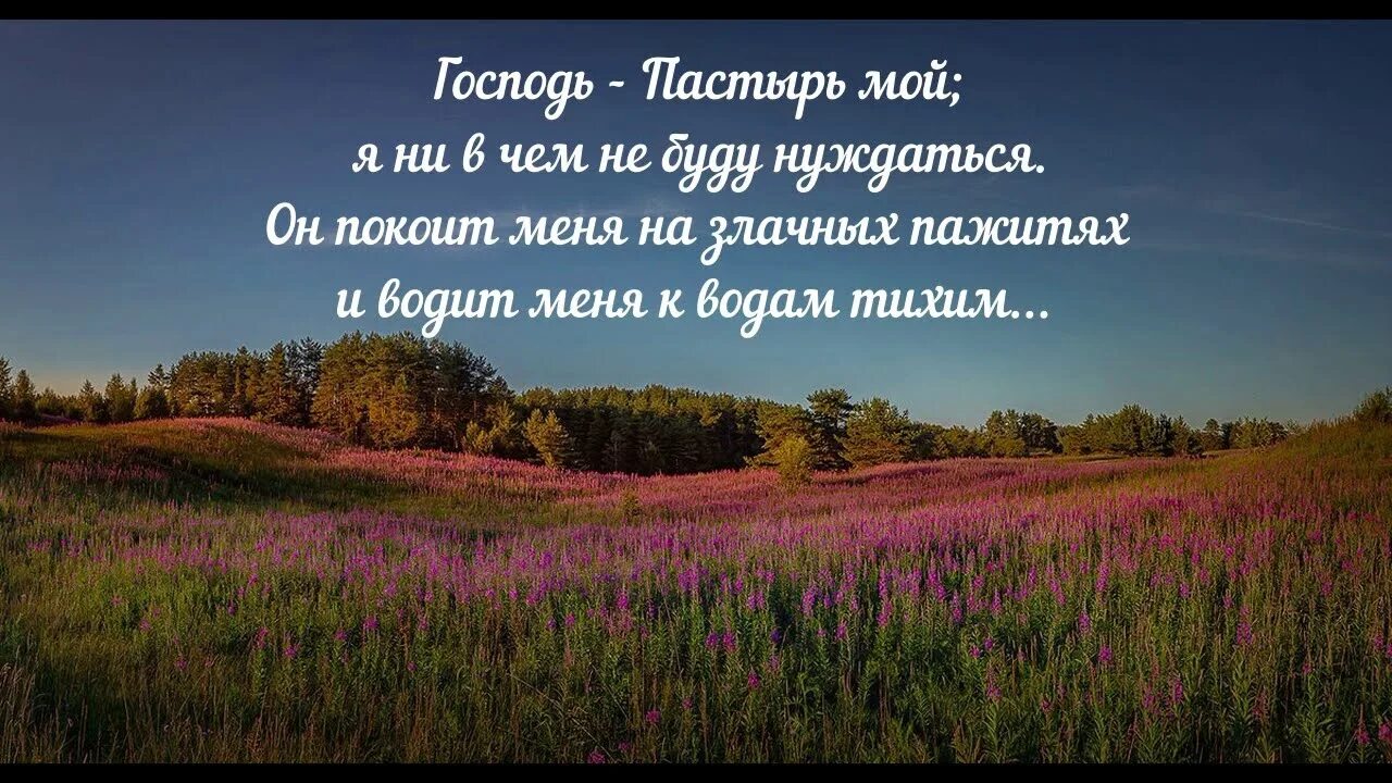 Пастырь псалом. Господь Пастырь мой Псалом. Господь Пастырь мой я ни в чем не буду нуждаться Псалом. Псалом 22. Псалом 22:1.