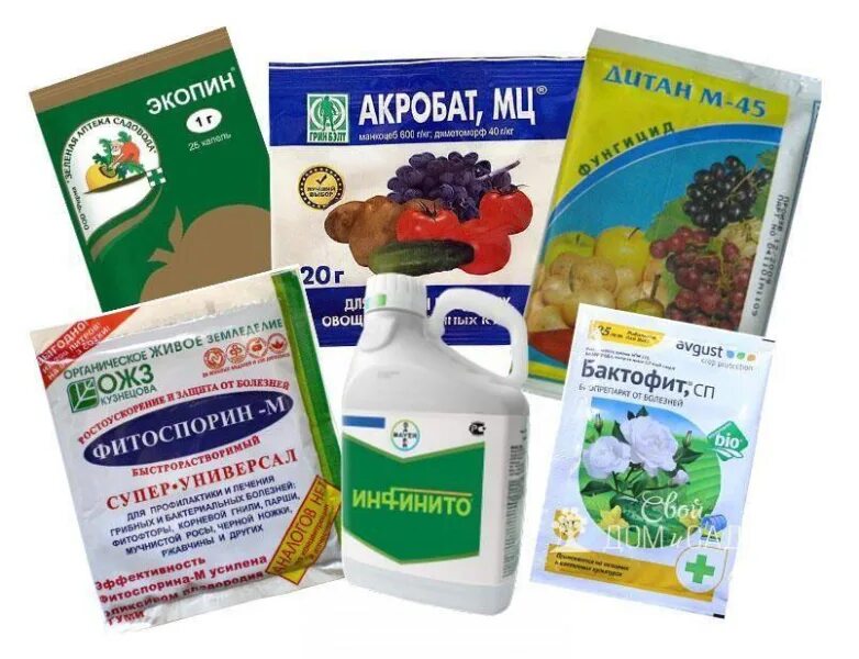 Препараты для томатов. Йод от фитофторы на помидорах. Средства для томатов. Препарат ридомил голд. Препараты для томатов.