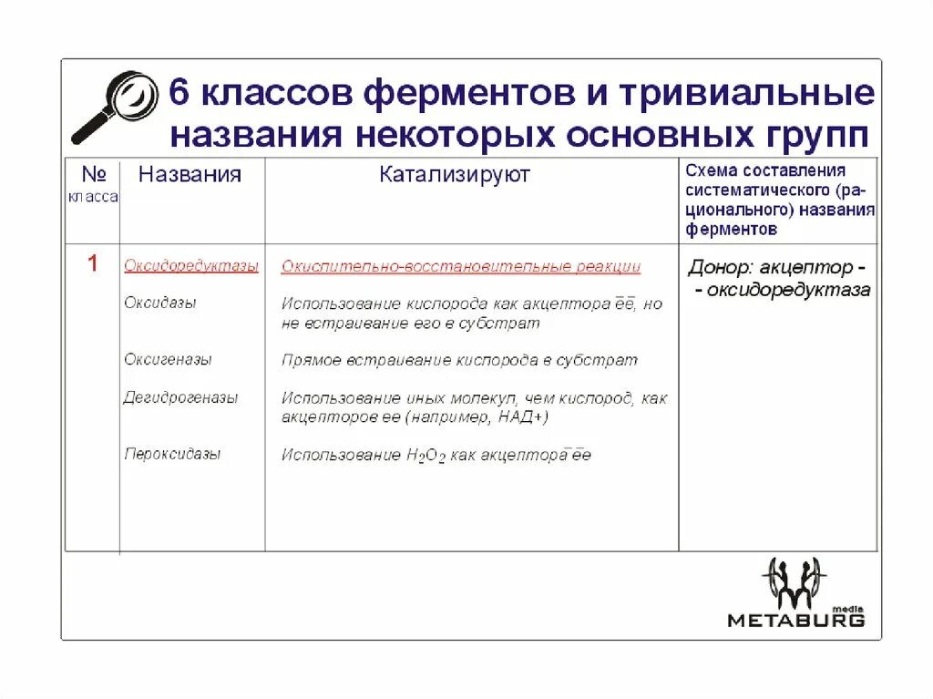 1 класс ферментов. Таблица классов ферментов. Назовите классы ферментов. Классы ферментов с примерами. 6 Основных классов ферментов.