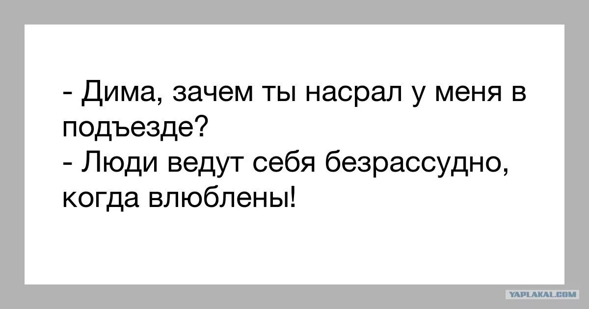 Если бывший хочет вернуться как себя вести. Зачем ты насрал мне под дверь. Зачем ты насрал у меня в подъезде.