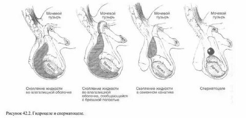 Бисексуалды БДСМ бейнелері желіде