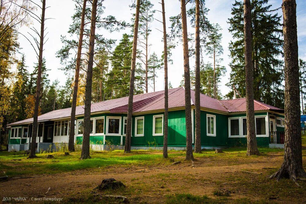 зеленый город детей. зеленый город детей. экогород город будущего вектор. город для детей на прозрачном фоне. городской пейзаж векторная графика.