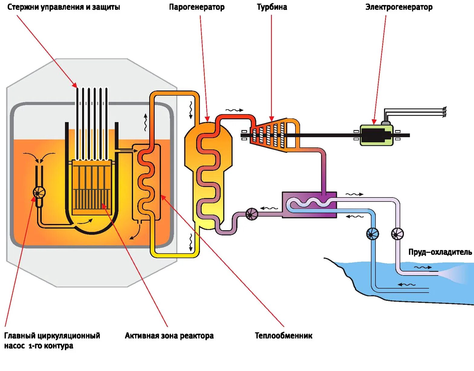 Реакторы с натриевым теплоносителем. Реактор бн-1200м. Реакторы с натриевым теплоносителем. Парогенератор ядерного реактора схема. Реактор бн-1200м.