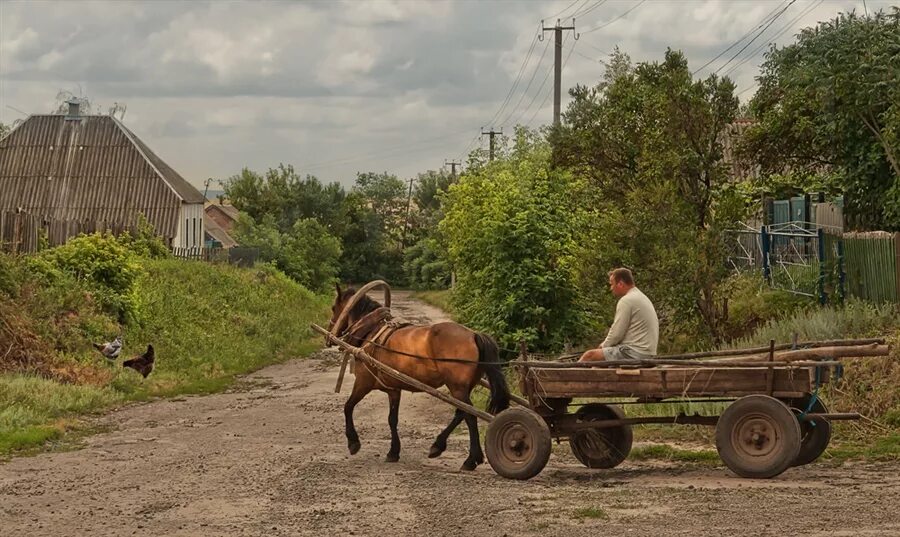 Деревенские люди. Жизнь в деревне. Деревенская жизнь. Картинки деревенской жизни.