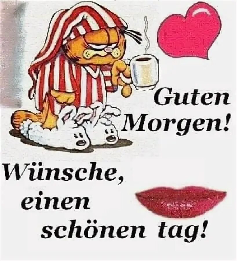 Morgen haben