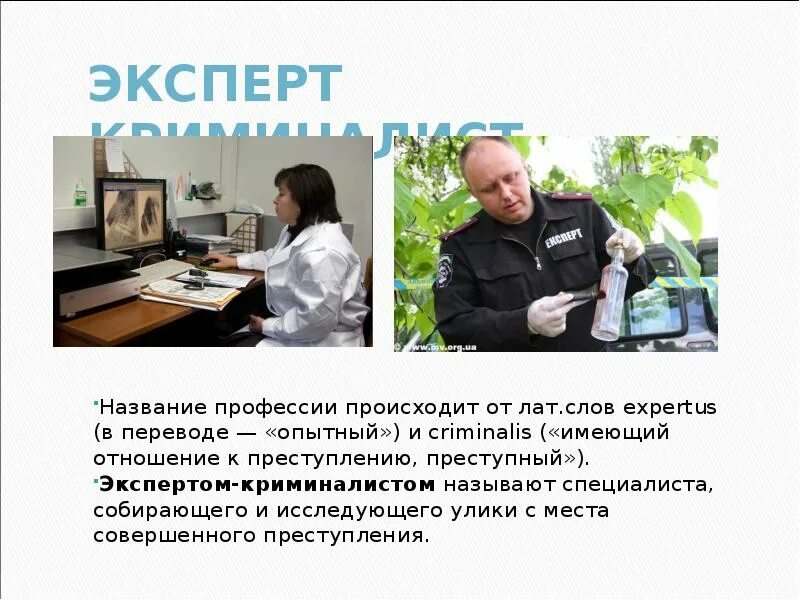 Криминалист какие предметы сдавать после 11 класса. Эксперт-криминалист профессия. криминалист профессия. презентация по профессии криминалист. эксперт криминалист презентация.