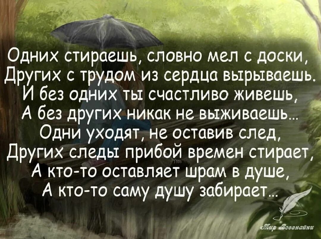 Как читать человека словно. Одних стираешь словно мел с доски других с трудом. Стих одних стираешь словно мел с доски других. Одних стираешь словно.