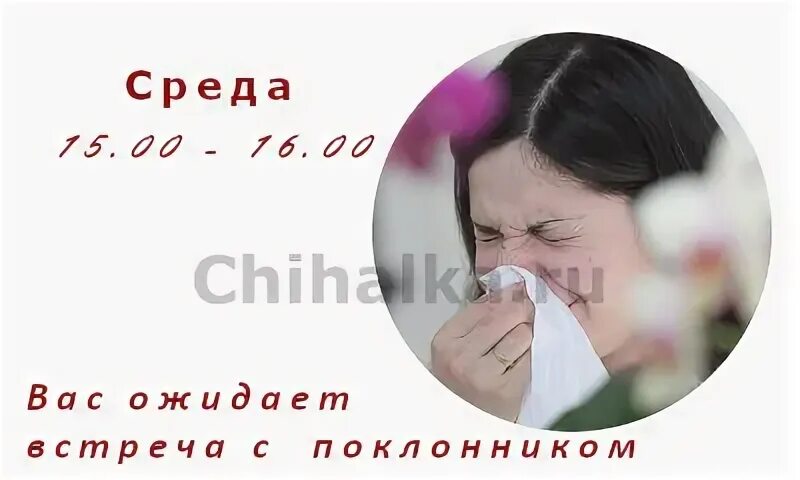 Чихалка среду по времени правдивая. Чихалка на среду правдивая. чихалка пятница по времени правдивая. чихалка на среду по времени правдивая. чихалка среда по времени.