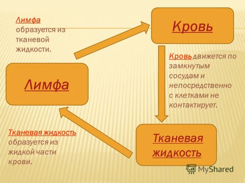 что произойдет с тканями если компоненты внутренней