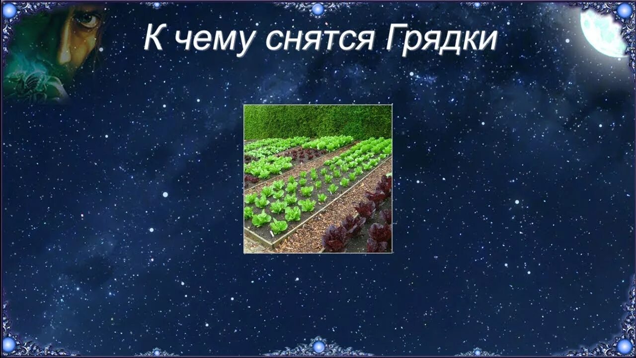 Грядки во сне женщине