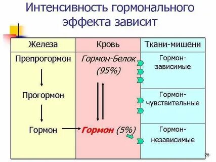 Смешанный гормон