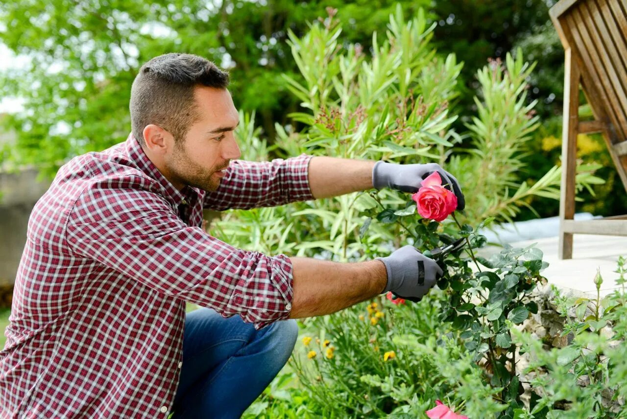 He is working in the garden