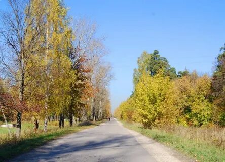 Лосиный остров королев