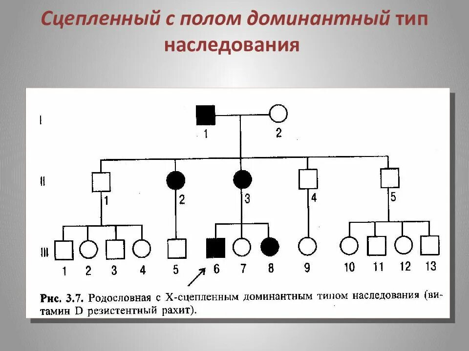 Заболевание y сцепленное рецессивное. Родословная рецессивный Тип наследования. Родословная с х-сцепленным доминантным типом наследования. Аутосомно рецессивный Тип наследования сцепленный с полом. Х рецессивный Тип наследования.