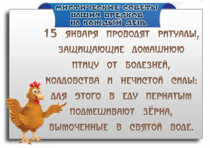 куриный праздник 15 января картинки. куриный праздник 15 января картинки. день кур. куриный праздник 15 января картинки. сильвестров день 15 января.