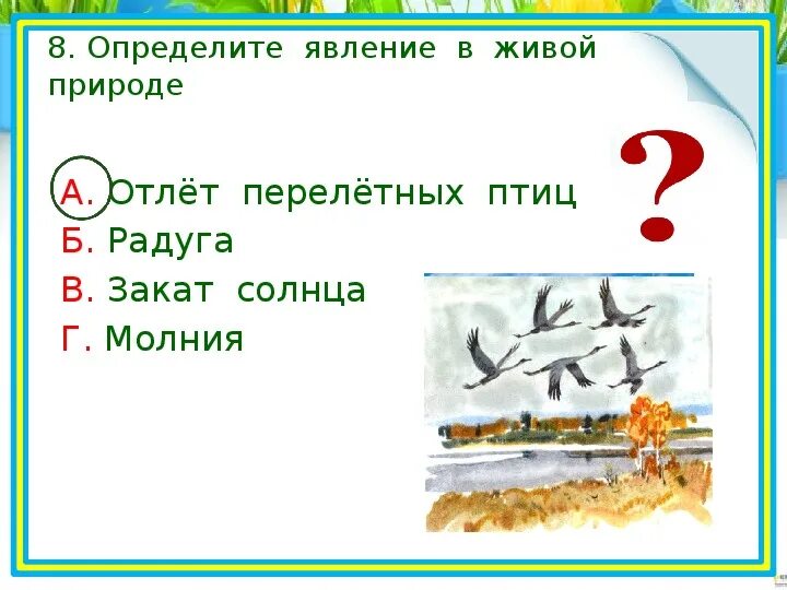 Тест явление природы