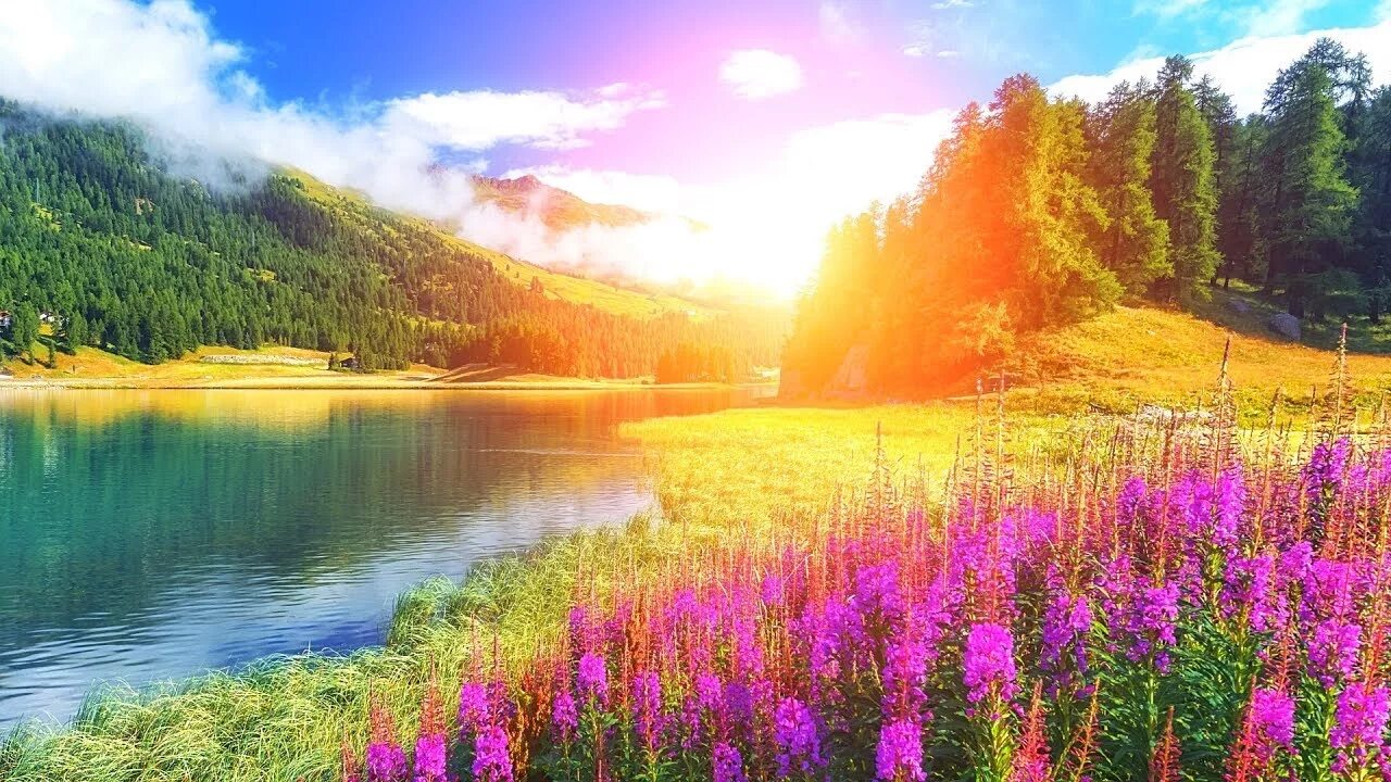 Beautiful relaxing. Relax images. calmness красивая картинка. beautiful relaxing music.