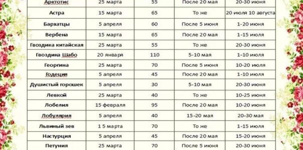 Дни посадки однолетних цветов в марте 2024. Сроки посадки однолетников на рассаду таблица. Рассада однолетних цветов. Цветы для высадки рассады. Посев цветов на рассаду.