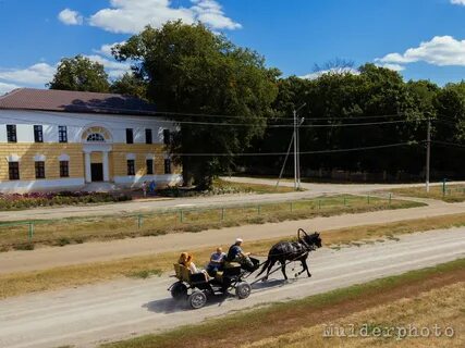 Хреновская школа наездников