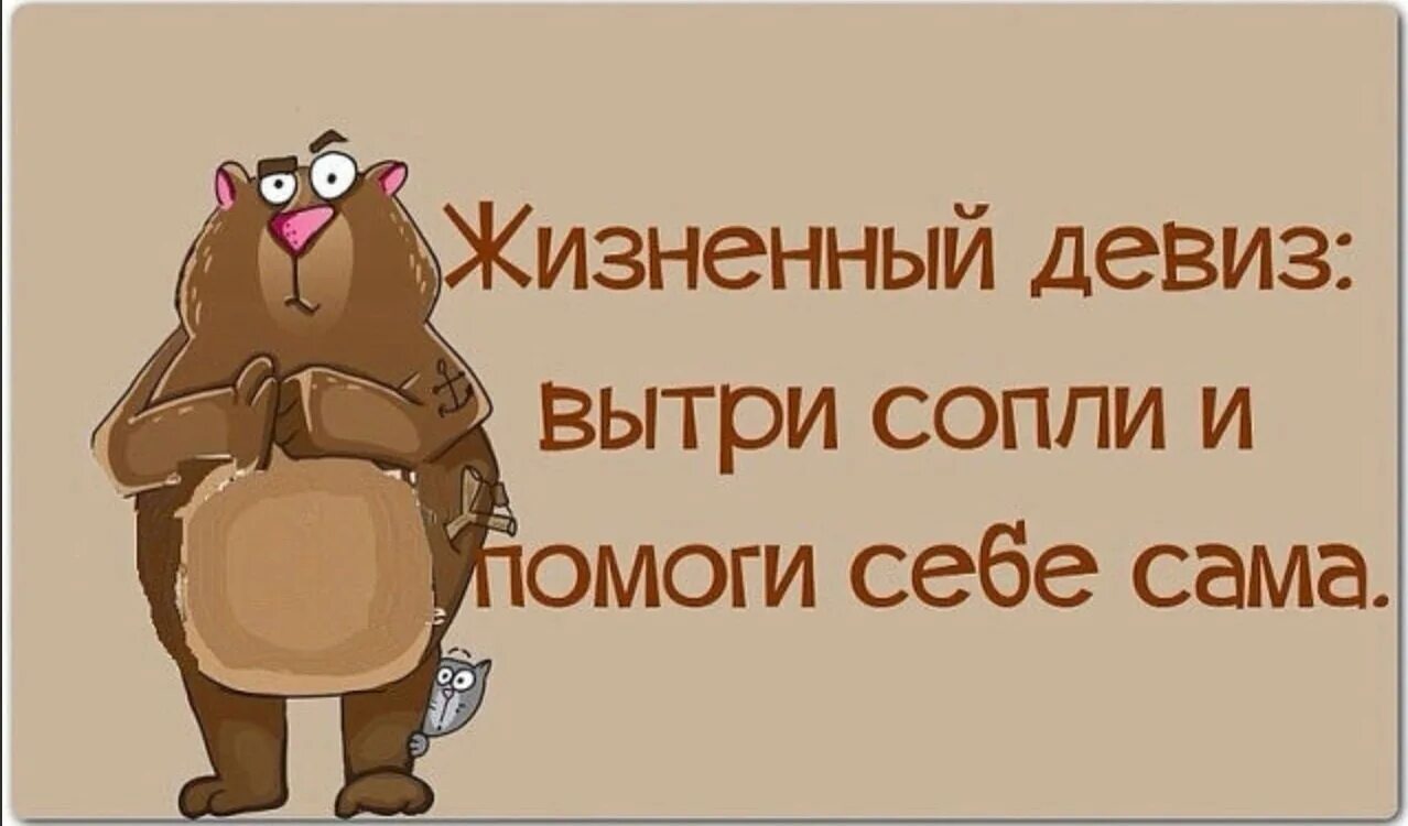 Я была сильной в этом году. Жизненный девиз. Жизненный девиз вытри сопли. Жизненный девиз смешной. Девиз по жизни с юмором.