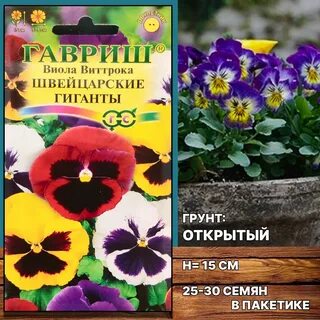 Швейцарский гигант