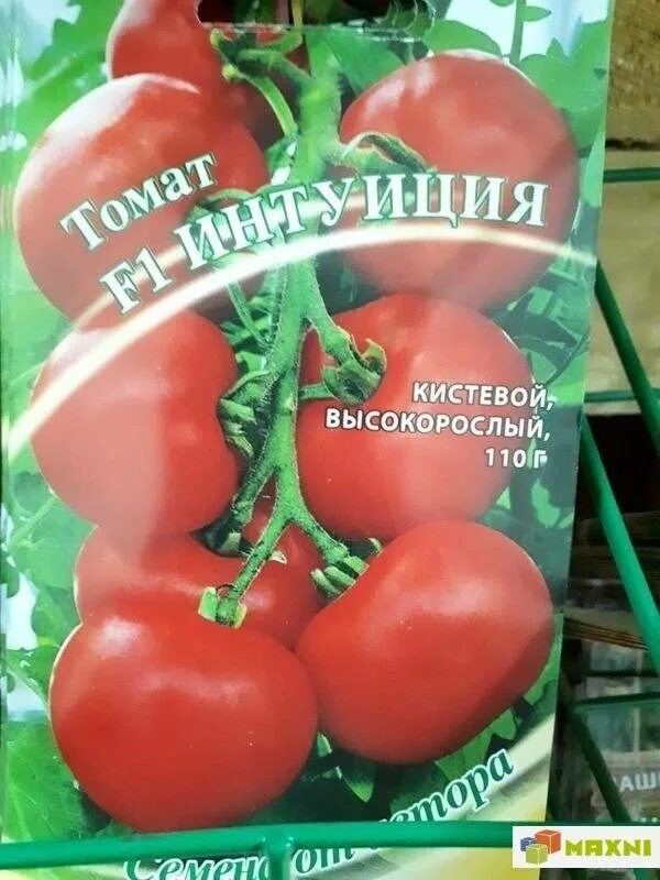 Сорт томатов интуиция отзывы. Томат интуиция семена. Интуиция ф1 томат. Сорт помидор интуиция. Семена помидоров сорт интуиция.