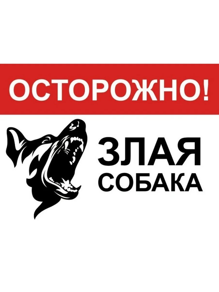 Злая собака предложение. Табличка &quot;злая собака&quot;. осторожно, злая собака!. табличка осторожно залаясобака. таблички осторожномзлая собака.