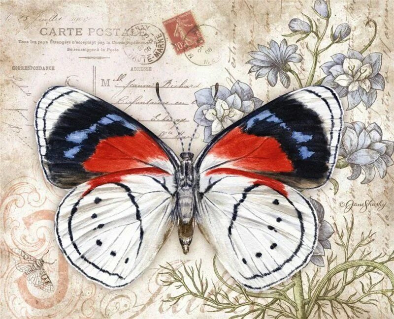 Бабочки художник Jane Shasky. Винтажная бабочка. Винтажные бабочки. Винтажные бабочки для декупажа.
