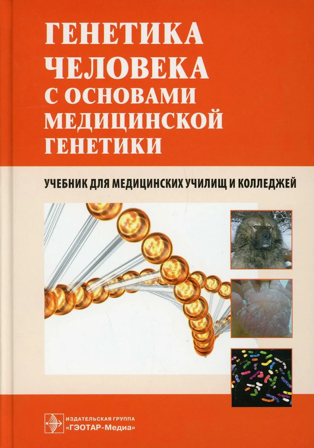 Генетика автор. Генетика человека с основами медицинской генетики хандогина. учебник по генетики человека с основами медицинской генетики. генетика учебное пособие. учебник генетики для медицинских училищ.