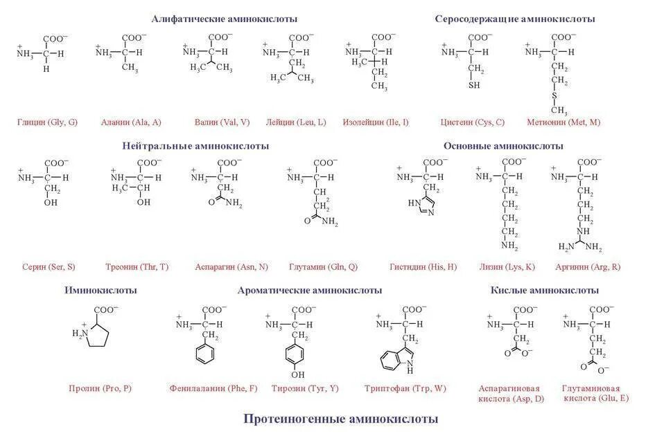 20 аминокислот формулы. Структура аминокислот таблица. общая структура аминокислот. формулы аминокислот биохимия. незаменимые аминокислоты биохимия формулы.
