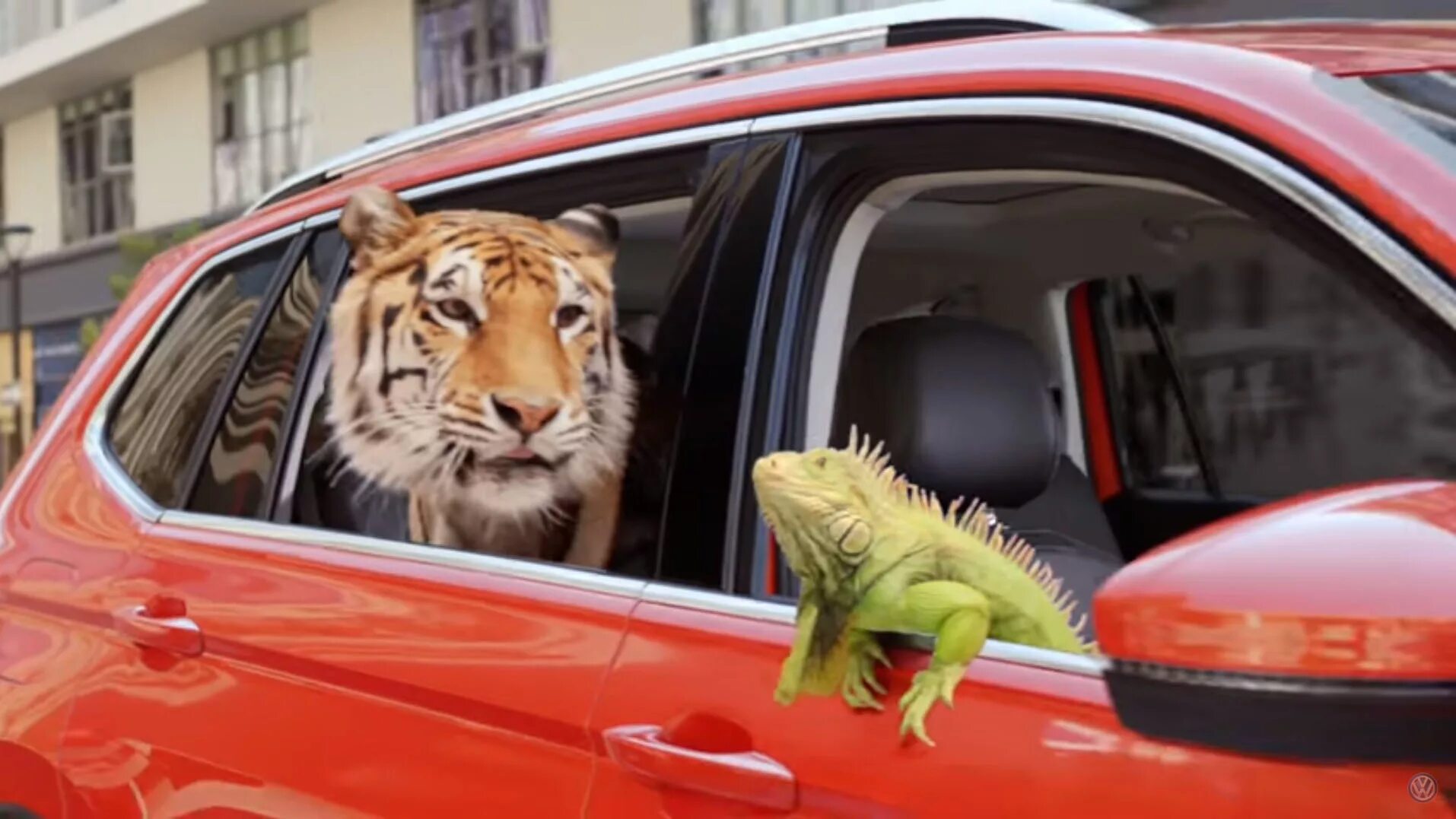 Mercedes лев. Тигуан тигр и игуана. Фольксваген тигр. Тигр + игуана машина. Реклама Мерседес с тигром.